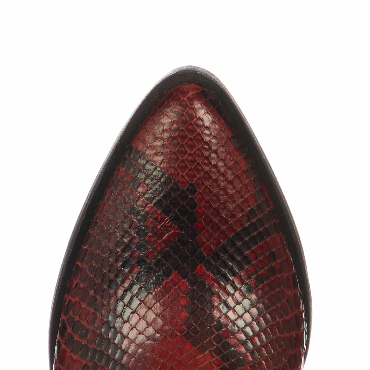 Alma Exotic :: Red 3 Alma Exotic :: Red - Image 3