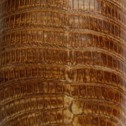 Priscilla Exotic :: Tan + Sage 12 Priscilla Exotic :: Tan + Sage -Lucchese shop Boots Tall Swatch 2 Custom