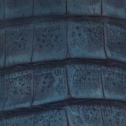 Dale Exotic :: Navy/Sky -Lucchese shop GY4049S52F Swatch