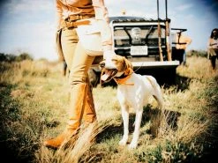 Ladies High Top Snake Boot King Ranch® Edition :: Whiskey 10 Ladies High Top Snake Boot King Ranch® Edition :: Whiskey -Lucchese shop KRSS SNAKE BOOTS GILL8231 ZgCLKZs